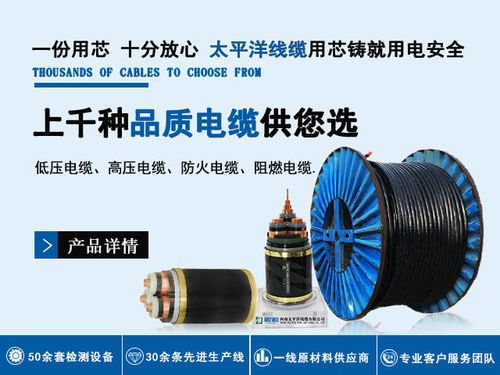 电力电缆厂 好品牌成就好电缆