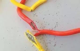 工程用线?你会选吗?